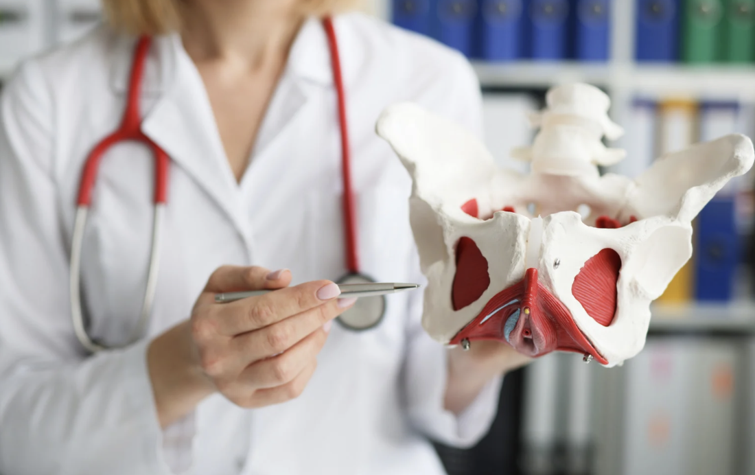 What Is Pelvic Floor Physical Therapy? A Complete Guide